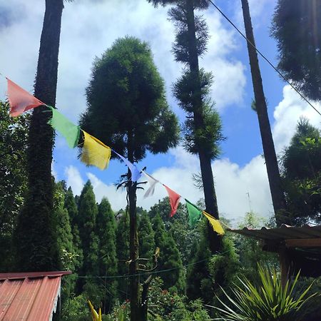 Shanti Samaya Home Stay Vl Ghoom Monastery, Samten Choeling Darjeeling  Eksteriør billede