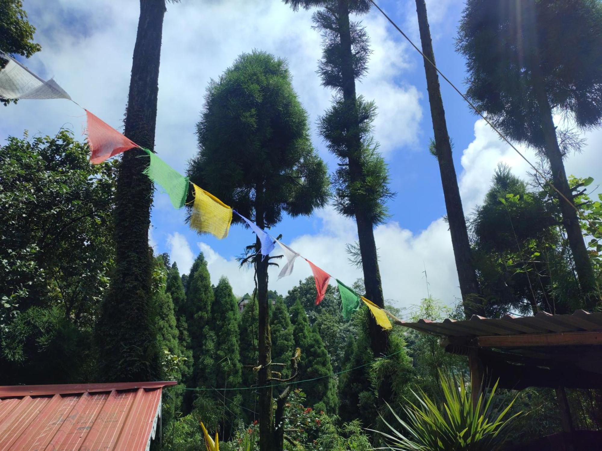 Shanti Samaya Home Stay Vl Ghoom Monastery, Samten Choeling Darjeeling  Eksteriør billede